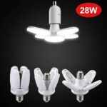 luz